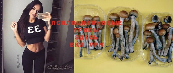 гидропоника Нягань