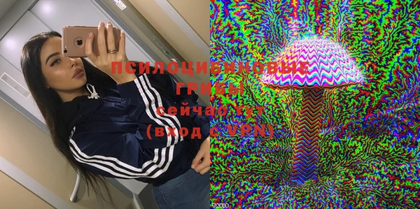 сатива Няндома