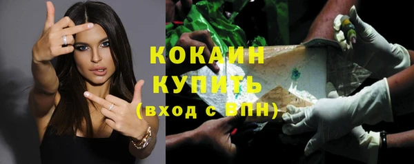 сатива Няндома