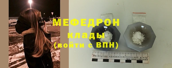 сатива Няндома