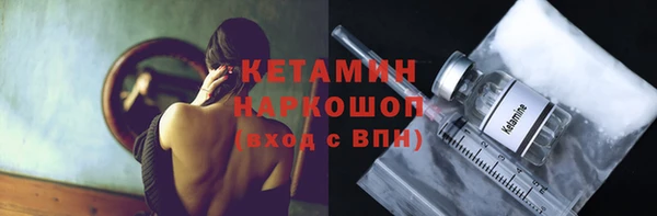 сатива Няндома