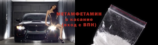 сатива Няндома