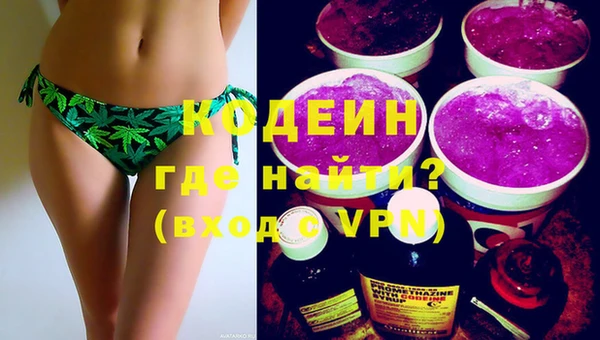 сатива Няндома