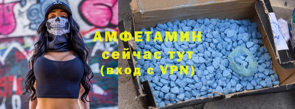 сатива Няндома