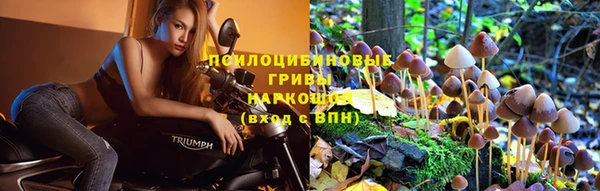 сатива Няндома