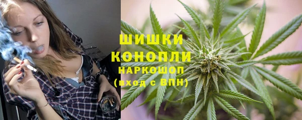 сатива Няндома