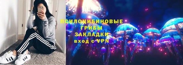 сатива Няндома