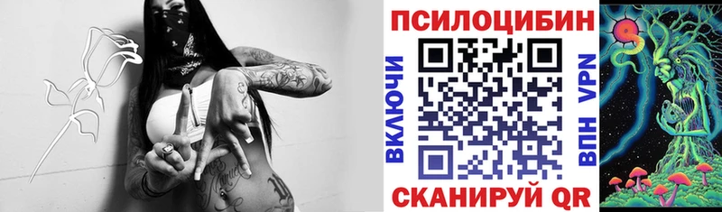 Галлюциногенные грибы GOLDEN TEACHER  продажа наркотиков  блэк спрут как зайти  Красногорск 