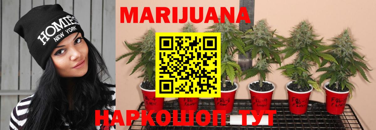 Каннабис конопля  Конопля план  Красногорск  МАРИХУАНА индика 